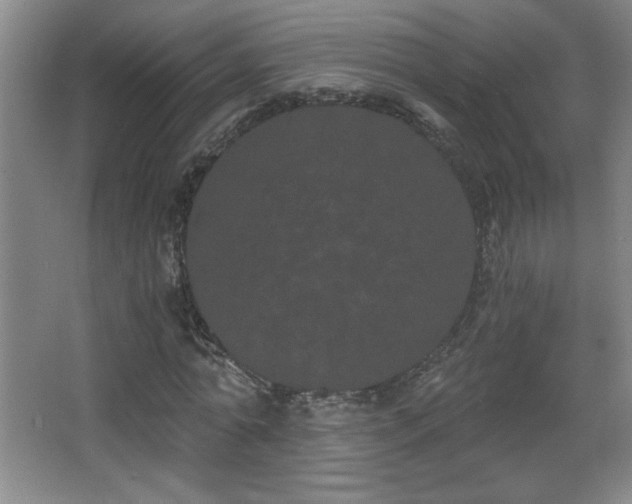 X0000068260774200604241231