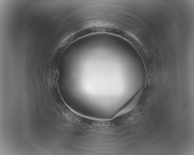 X0000068260775200604241231