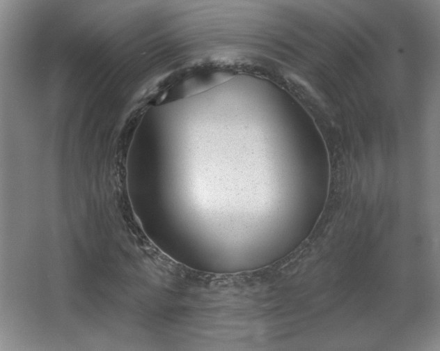 X0000068260776200604241230