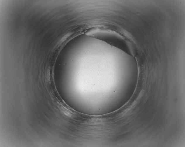 X0000068260777200604241230