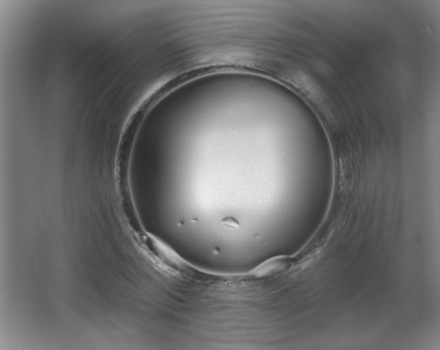 X0000068260780200604241230