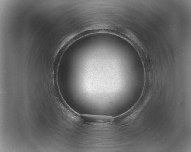 X0000068260781200604241230