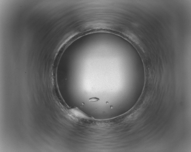 X0000068260782200604241230