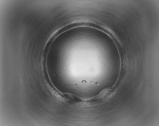 X0000068260783200604241230