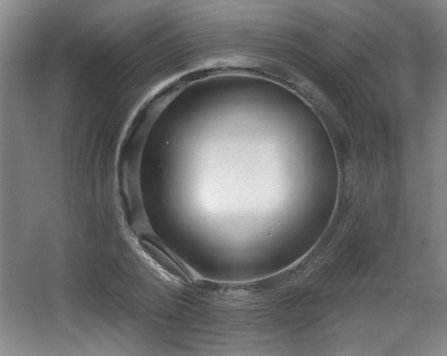 X0000068260784200604241230