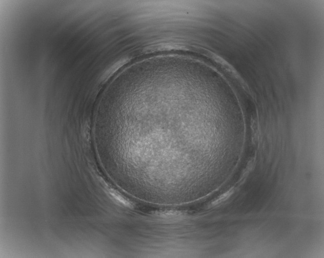 X0000068260785200604241230