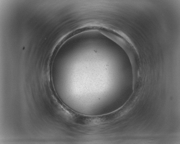 X0000068260791200604241230