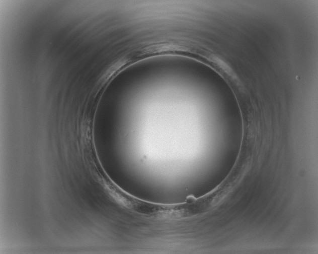 X0000068260793200604241230