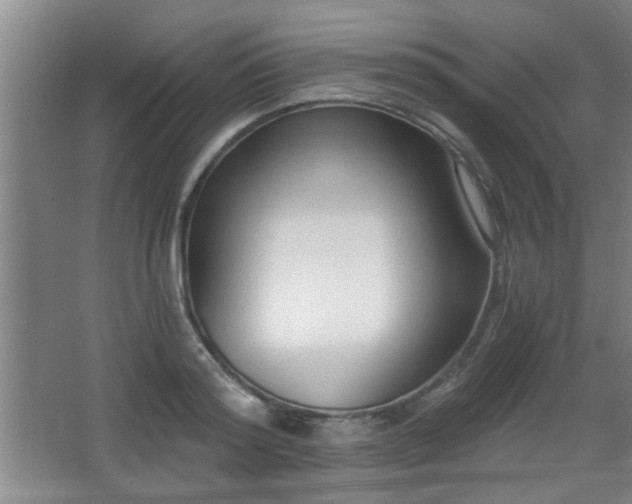 X0000068260796200604241230