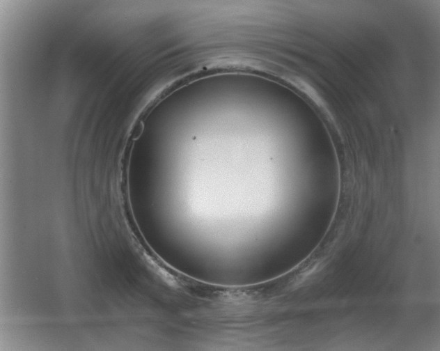 X0000068260799200604241230