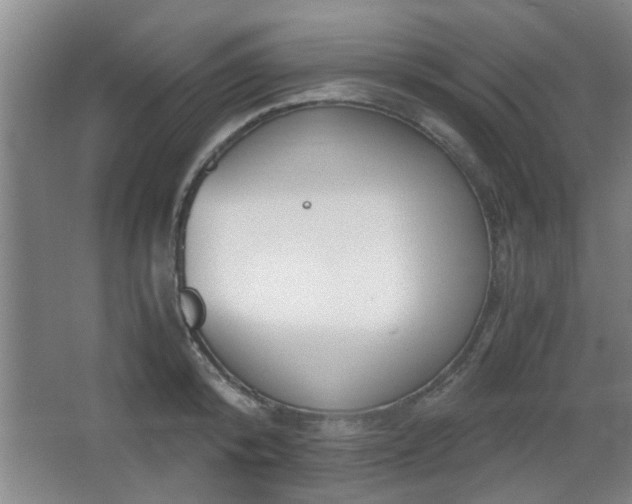 X0000068260800200604241230