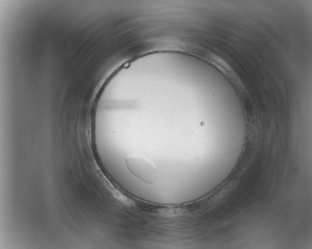 X0000068260804200604241230