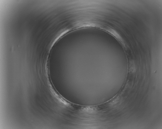 X0000068260806200604241230