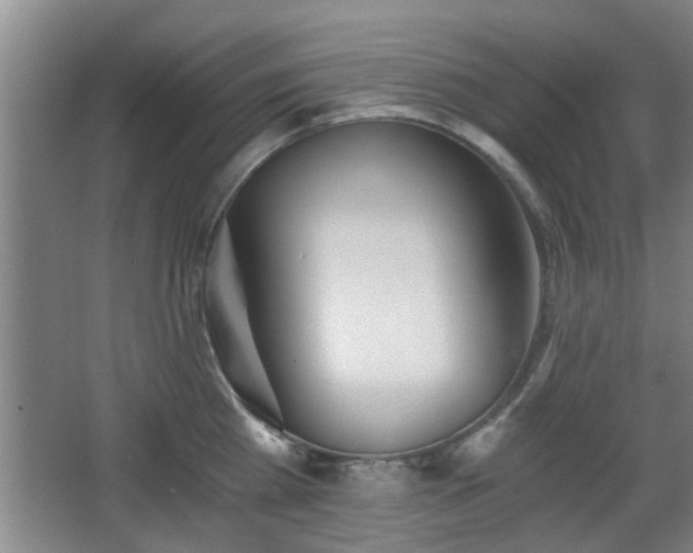 X0000068260809200604241230