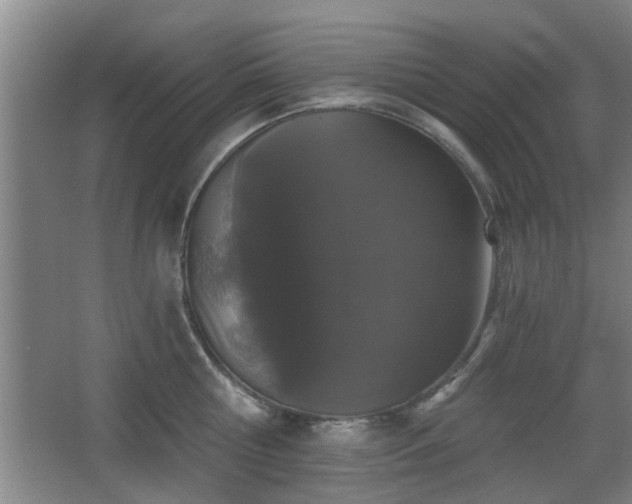 X0000068260810200604241230