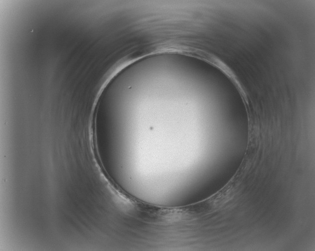 X0000068260811200604241230