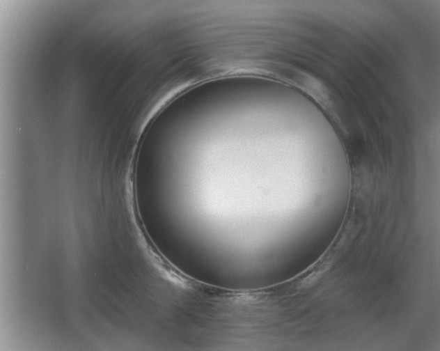 X0000068260814200604241230