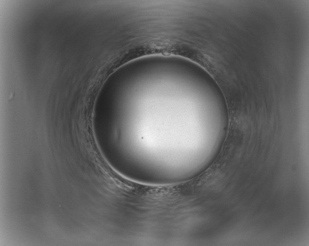 X0000068260817200604241229