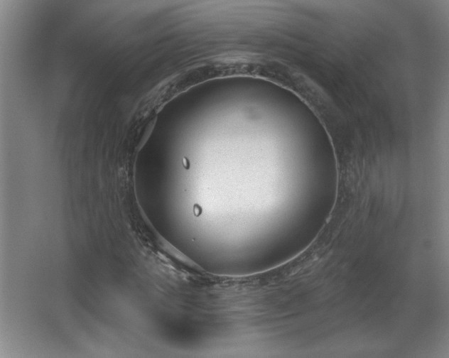 X0000068260821200604241229