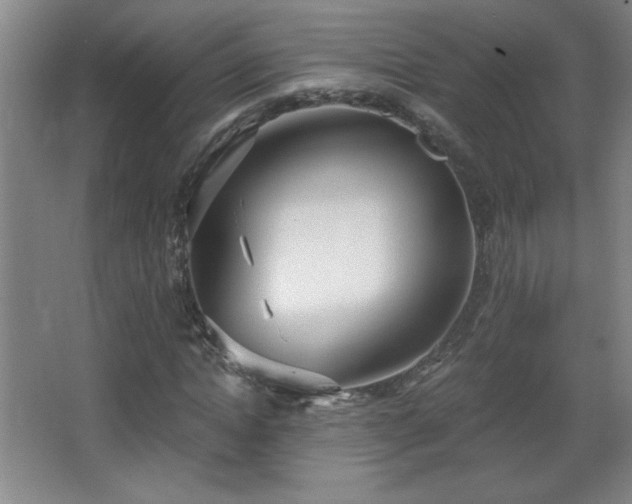 X0000068260822200604241229