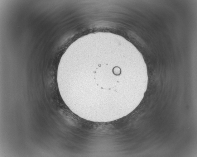 X0000068260824200604241229