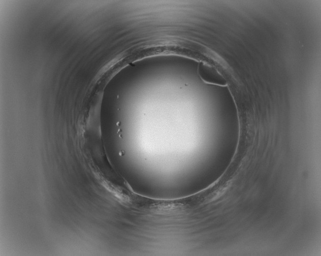 X0000068260826200604241229