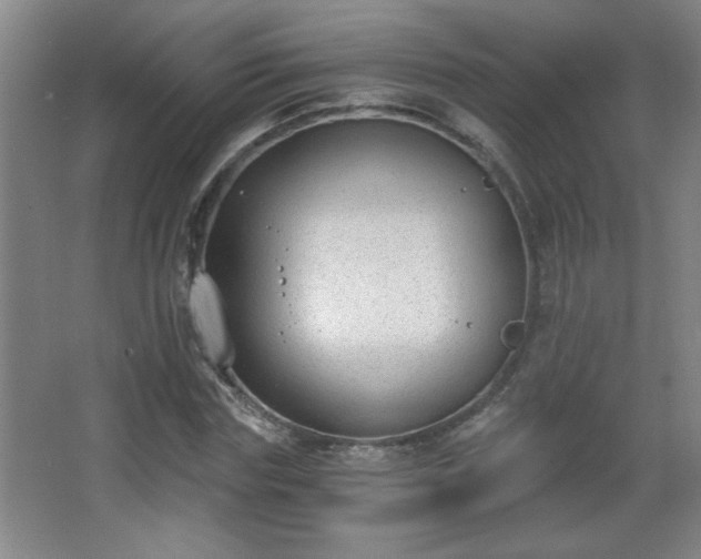 X0000068260827200604241229