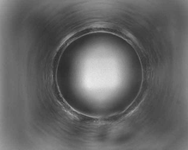 X0000068260829200604241229