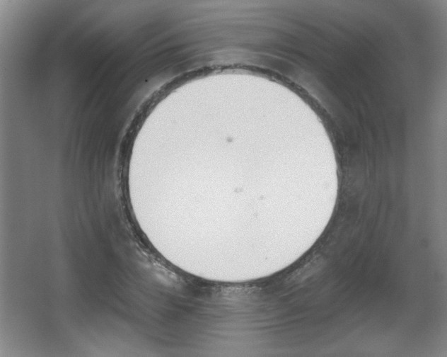 X0000068260832200604241229