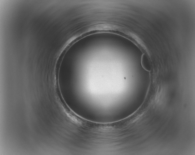 X0000068260837200604241229