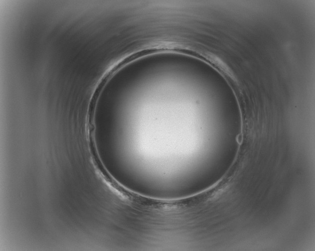 X0000068260839200604241229