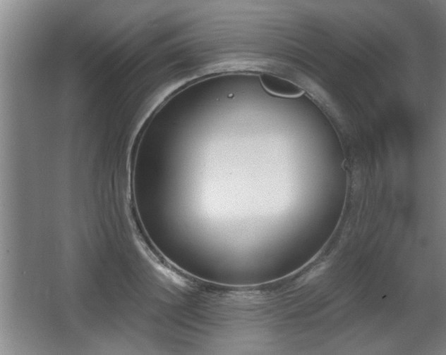 X0000068260844200604241229