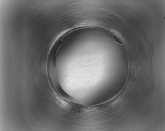 X0000068260846200604241229