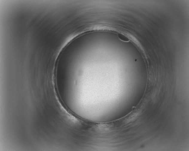 X0000068260847200604241230