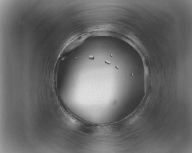 X0000068260850200604241230