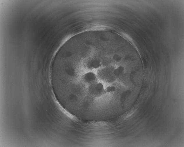 X0000068260851200604241230