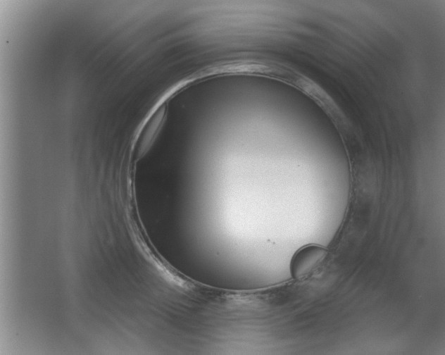 X0000068260852200604241230