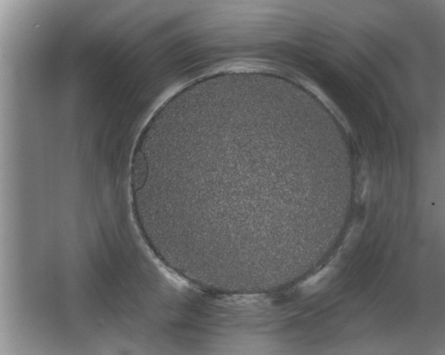 X0000068260853200604241230