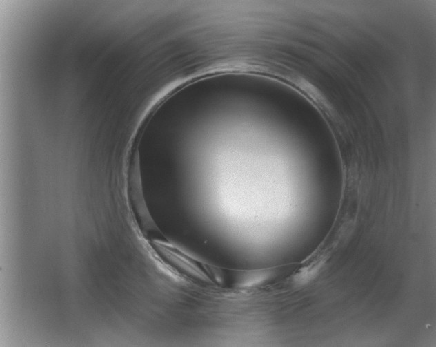 X0000068260854200604241230