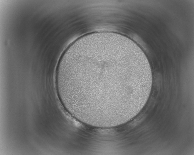 X0000068260856200604241230