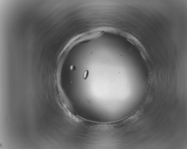 X0000068260860200604241230