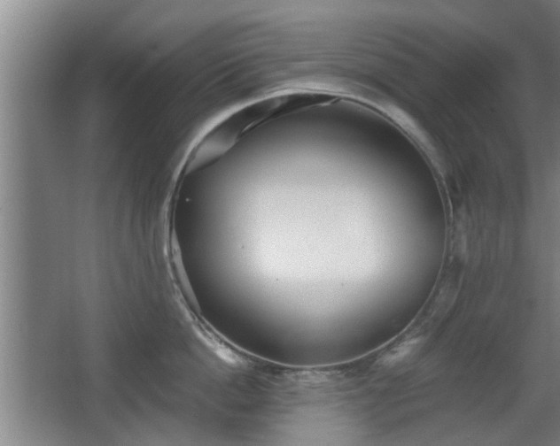 X0000068260862200604241230