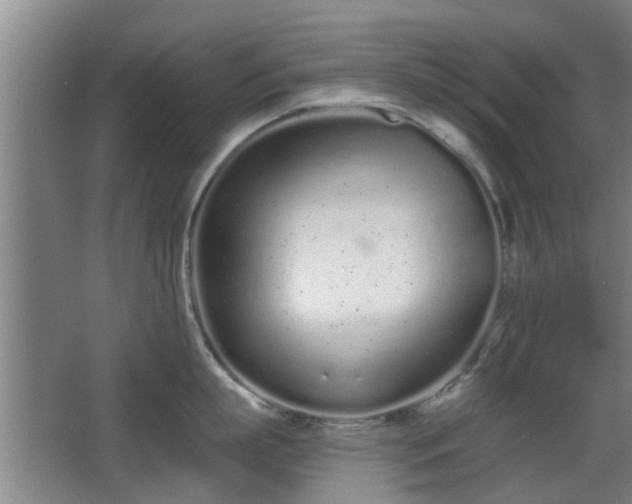 X0000068260863200604241230