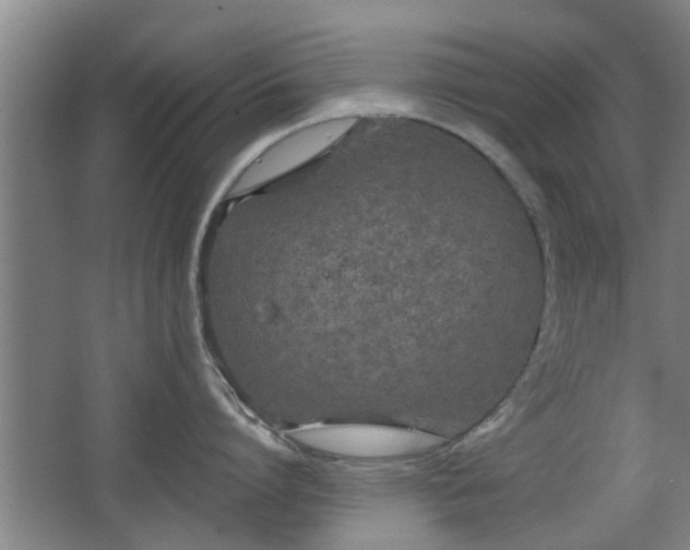 X0000068260864200604241230