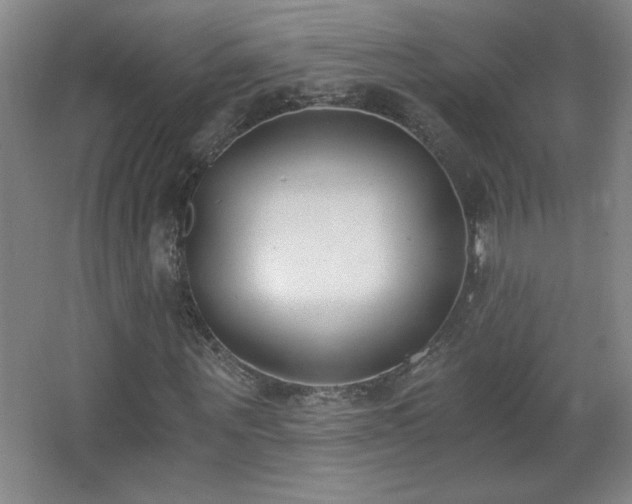 X0000068260867200604241229