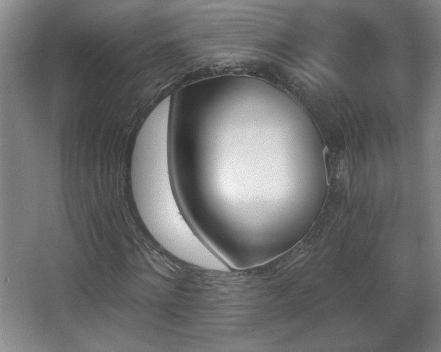 X0000068260868200604241229