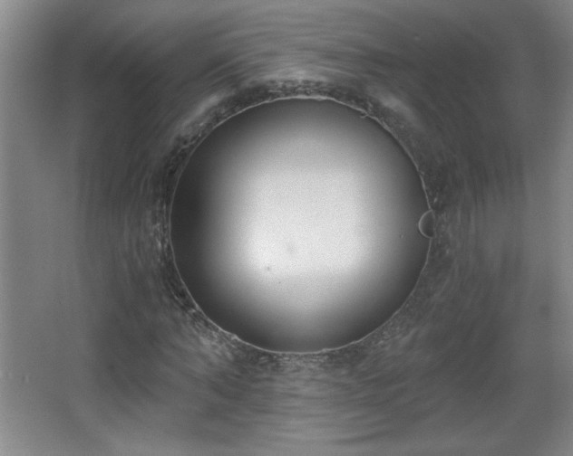 X0000068260870200604241229