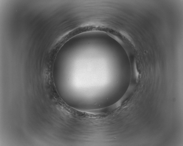 X0000068260872200604241229