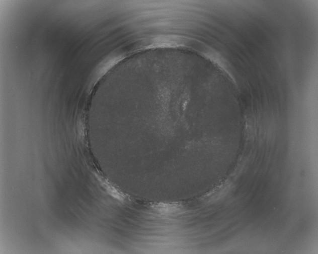 X0000068260874200604241229