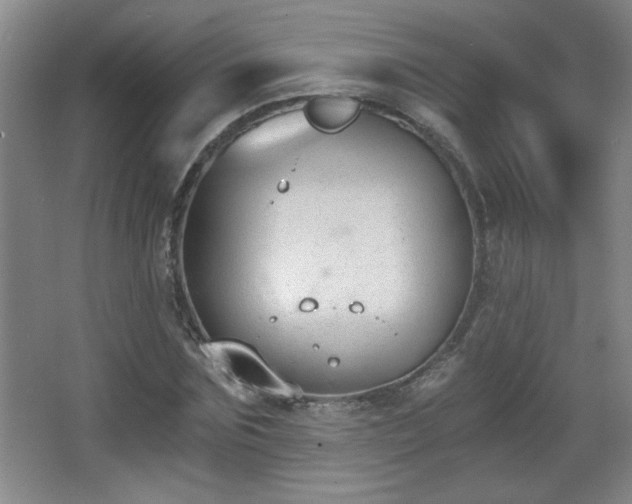 X0000068260875200604241229